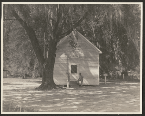 Screen Shot 2017-07-10 at 8.00.11 AM