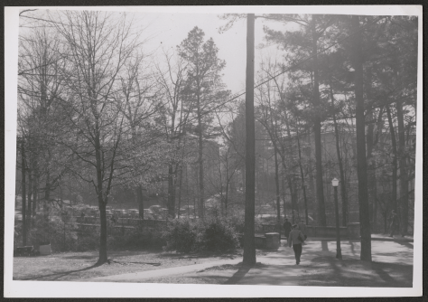 Screen Shot 2017-07-25 at 10.46.27 AM