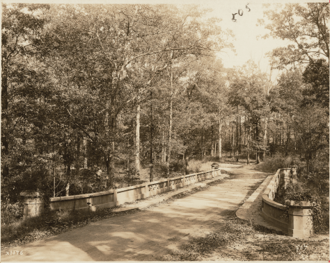 Screen Shot 2017-07-25 at 10.47.10 AM