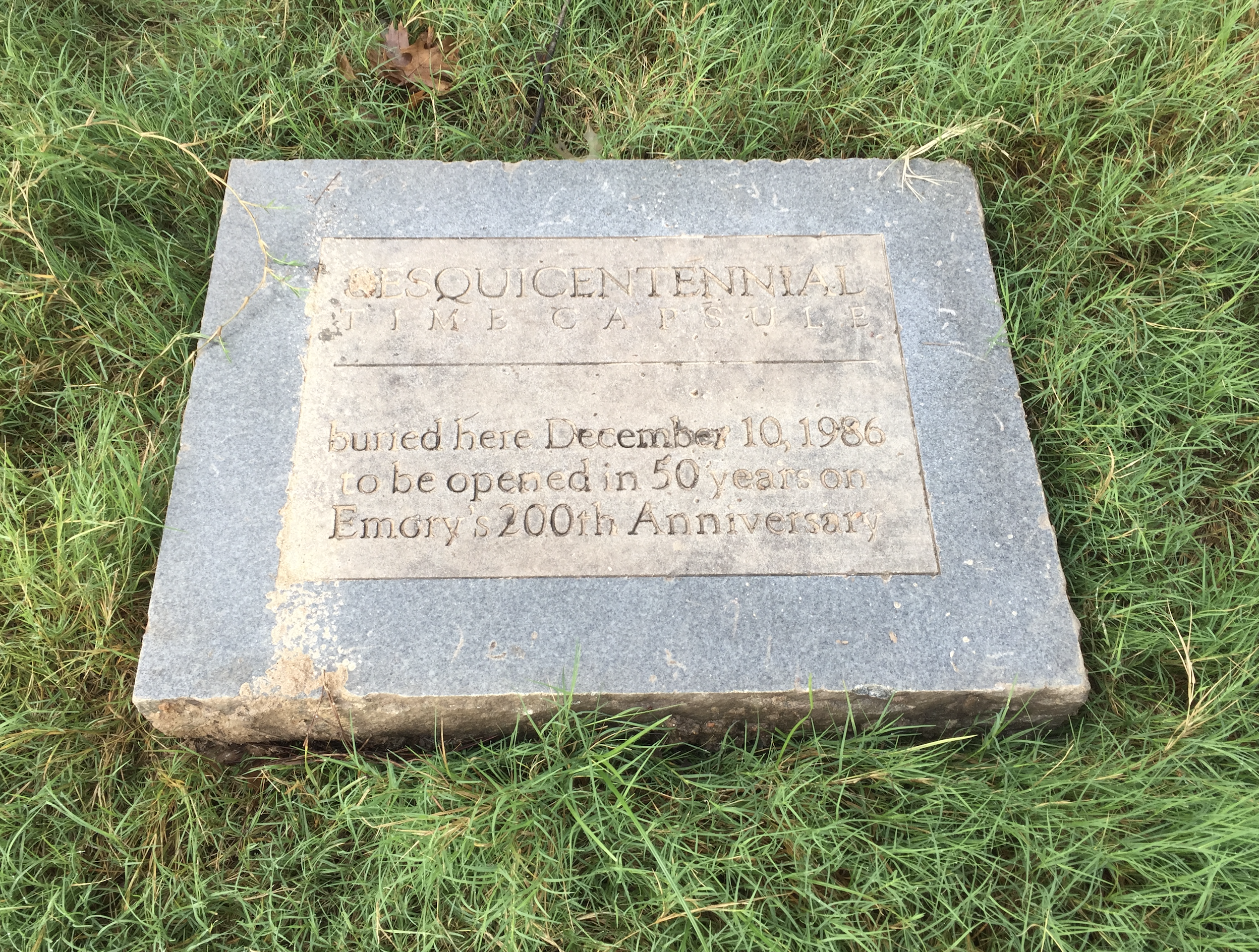 Screen Shot 2017-08-11 at 1.38.47 PM