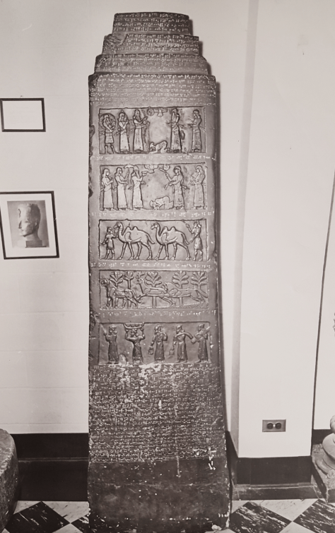 Screen Shot 2019-05-03 at 9.46.56 AM