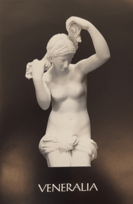 Screen Shot 2019-05-30 at 10.26.36 AM