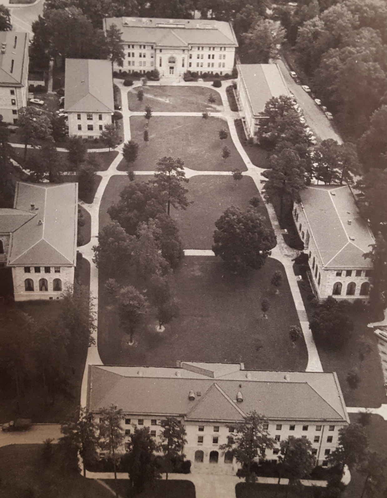 Screen Shot 2019-11-20 at 4.20.35 PM