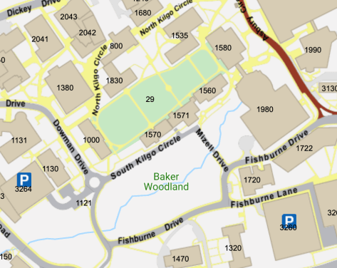 Screen Shot 2019-11-20 at 8.51.40 AM